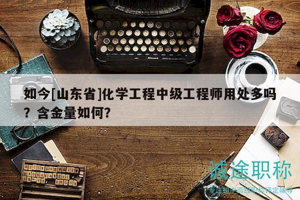 如今[山東省]化學(xué)工程中級(jí)工程師用處多嗎？含金量如何？