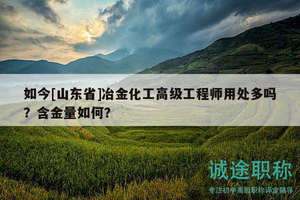 如今[山東省]冶金化工高級工程師用處多嗎？含金量如何？