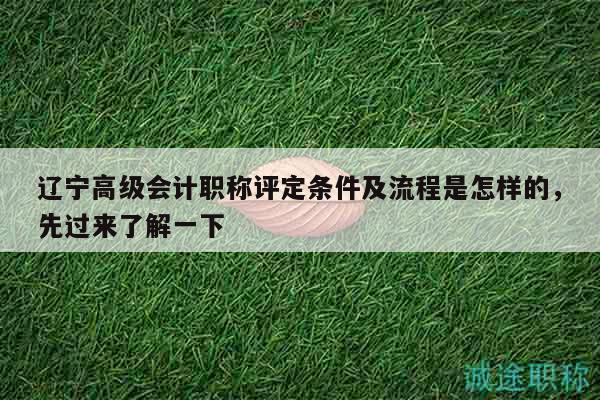 遼寧高級會計職稱評定條件及流程是怎樣的，先過來了解一下