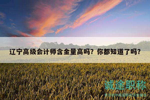遼寧高級(jí)會(huì)計(jì)師含金量高嗎？你都知道了嗎？