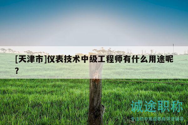[天津市]儀表技術(shù)中級工程師有什么用途呢？