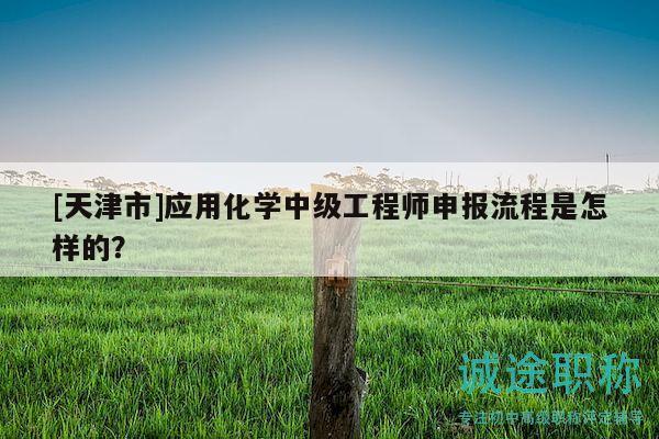 [天津市]應(yīng)用化學(xué)中級(jí)工程師申報(bào)流程是怎樣的？
