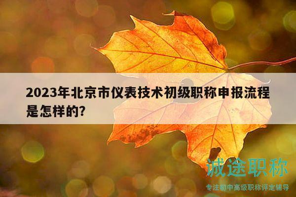 2023年北京市儀表技術(shù)初級職稱申報流程是怎樣的？