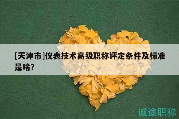 [天津市]儀表技術(shù)高級職稱評定條件及標準是啥？