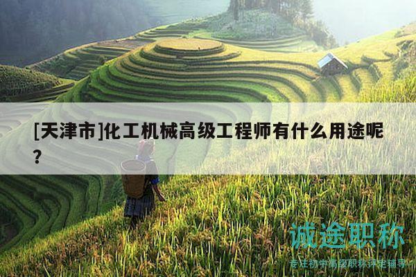 [天津市]化工機(jī)械高級(jí)工程師有什么用途呢？