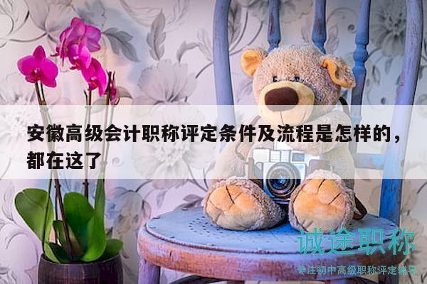 安徽高級(jí)會(huì)計(jì)職稱評(píng)定條件及流程是怎樣的，都在這了