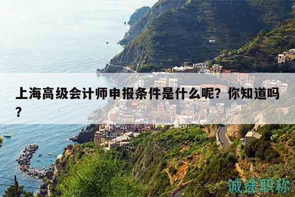 上海高級(jí)會(huì)計(jì)師申報(bào)條件是什么呢？你知道嗎？